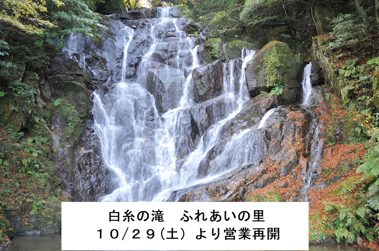 白糸の滝 2025年 白糸の滝 - 出発前に知っておくべきことすべて