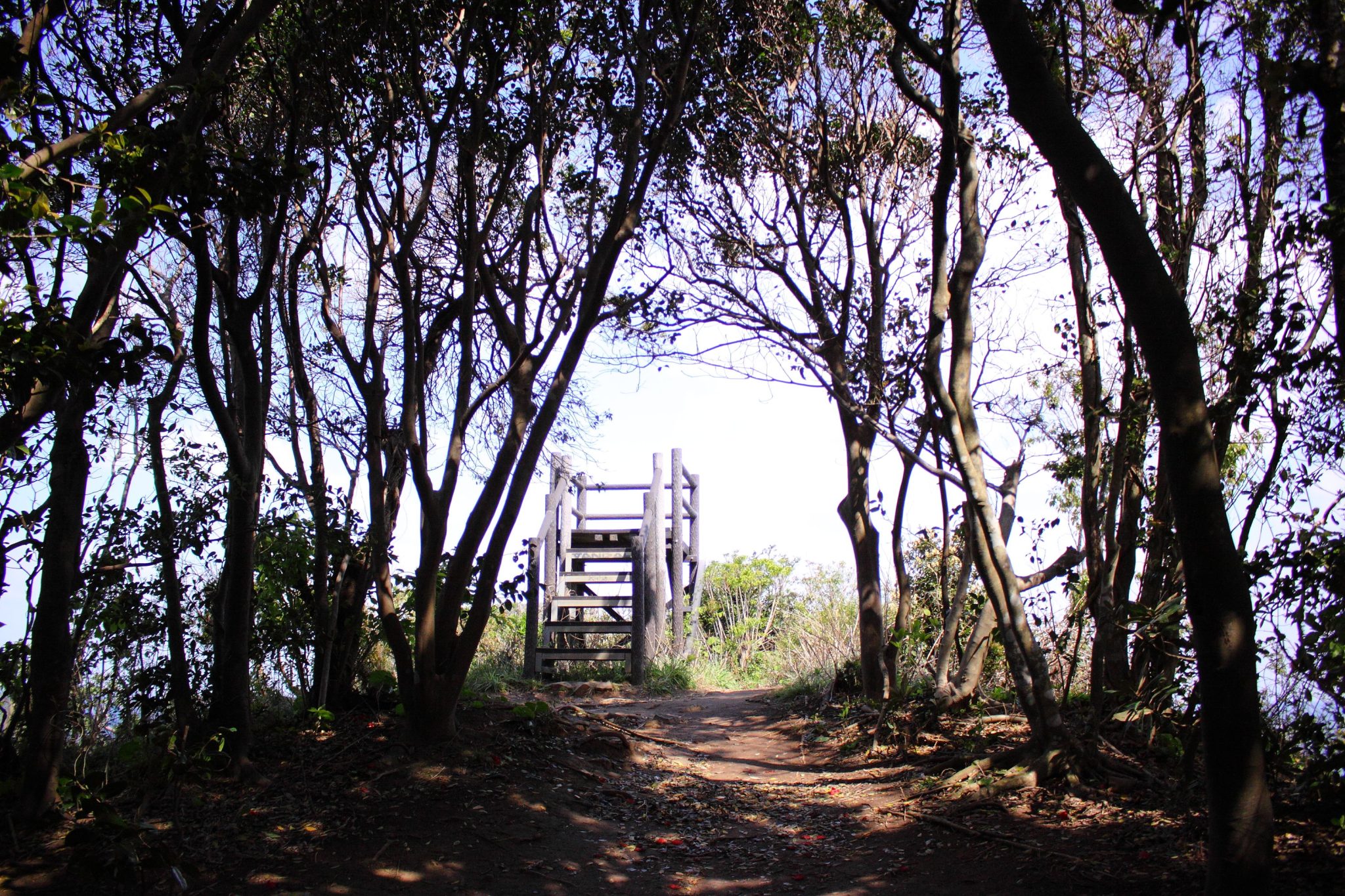 芥屋の大門 糸島を一望する絶景